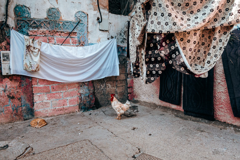 Une poule traverse une cour de Casablanca sous du linge blanc et des tissus suspendus contre un mur de briques.